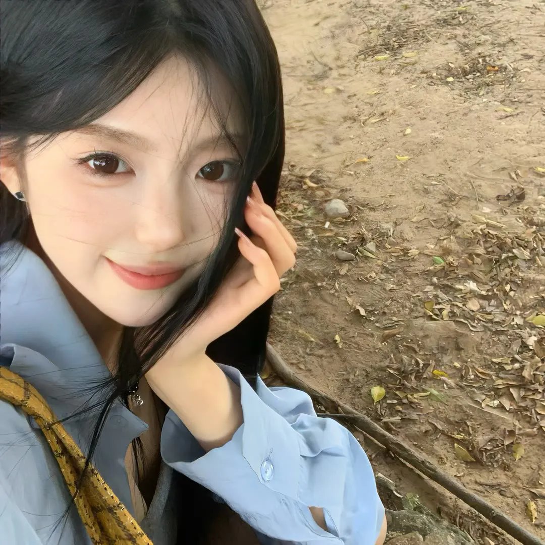 泰山：丛林反攻